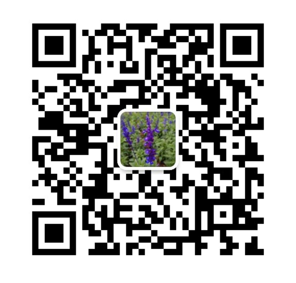 九游会